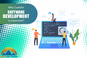 Why-custom-software-development-is-important